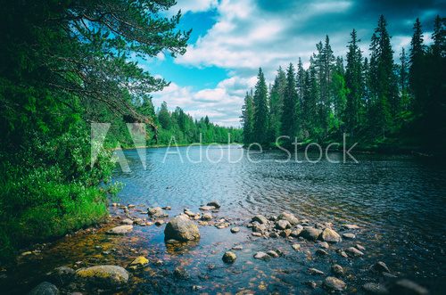 Fototapeta lake in deep forest
