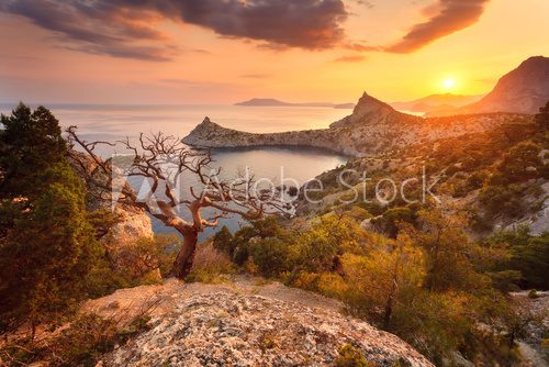 Fototapeta Landscape with beautiful view on mountain valley and tree, blue sky and sea at sunrise. Travel background