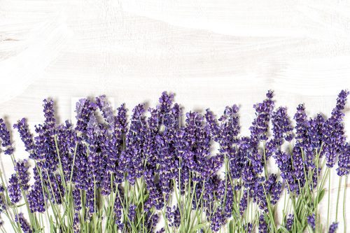 Fototapeta Lavender flowers over white wooden texture background
