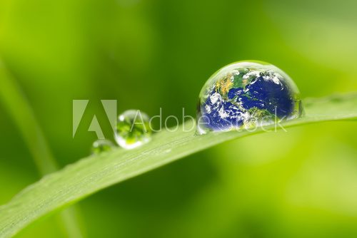 Fototapeta leaf with rain droplets - Recovery earth concept