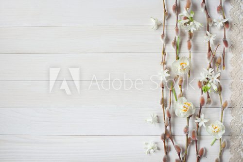 Fototapeta Light wood background with willow branches and spring flowers