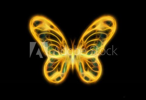 Fototapeta light yellow and tirkys color butterfly on black bckground.