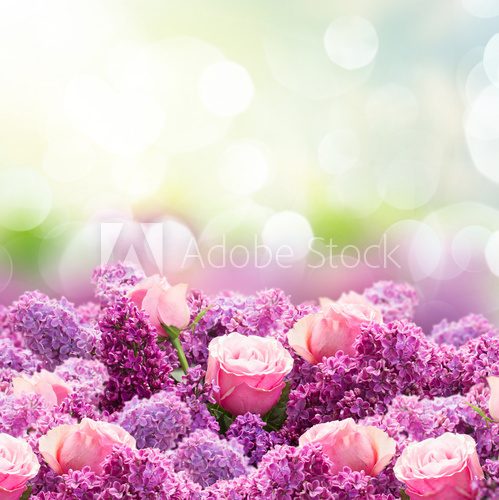 Fototapeta Lilac and rose flowers