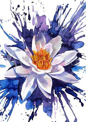 Fototapeta lily flower