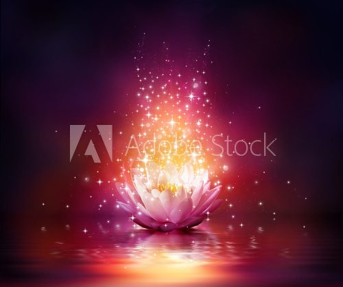 Fototapeta magic flower on water