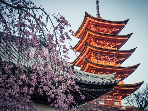 Fototapeta Miyajima