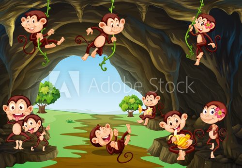 Fototapeta Monkeys living in the cave