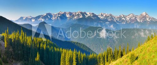 Fototapeta Morning view of spring forest and mountains with snow