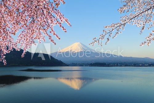 Fototapeta Mount Fuji, view from Lake Kawaguchiko