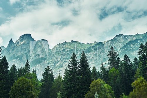 Fototapeta Mountain landscape in the background of the cloudy sky. Coniferous forest