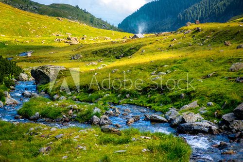 Fototapeta Mountain river 