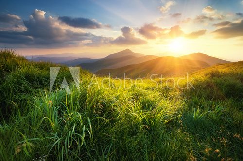 Fototapeta Mountain valley during sunset. Natural summer landscape