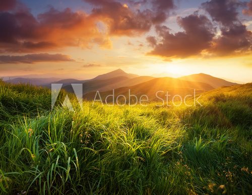 Fototapeta Mountain valley during sunset. Natural summer landscape