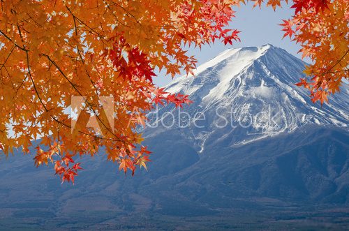 Fototapeta Mt.Fuji and Orange maple in Japan.