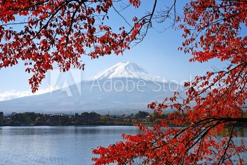 Fototapeta Mt. Fuji in the Autumn