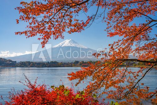Fototapeta Mt. Fuji in the Autumn