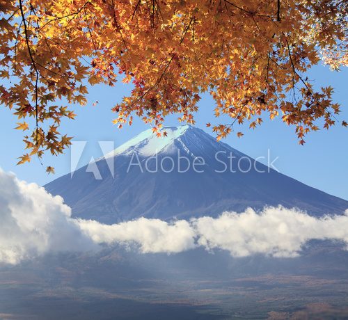 Fototapeta Mt. Fuji with fall colors in Japan