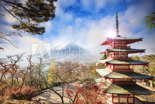 Fototapeta Mt. Fuji with fall colors in Japan.