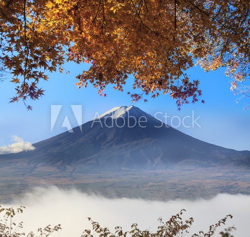 Fototapeta Mt. Fuji with fall colors in Japan