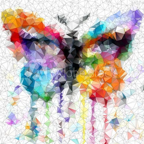 Fototapeta multicolor bright butterfly abstract geometric background