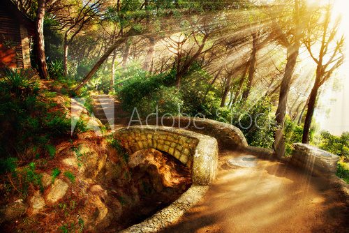 Fototapeta Mystical Park. Old Trees and Ancient Stone Bridge. Pathway