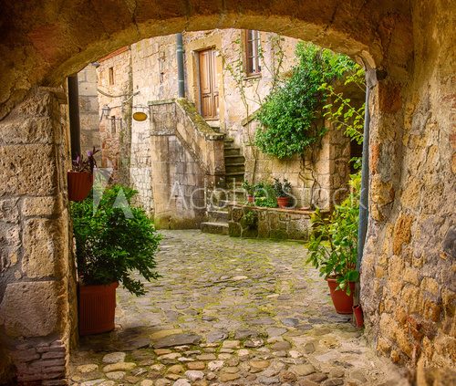 Fototapeta Narrow street of medieval tuff city Sorano with arch, green plants and cobblestone, travel Italy background