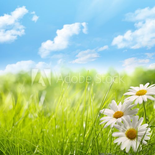 Fototapeta natural background