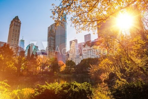 Fototapeta New York Central Park