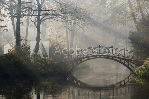 Fototapeta Old bridge in misty autumn park