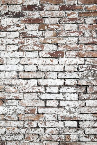 Fototapeta Old large red brick wall background distressed with white paint