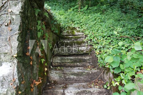 Fototapeta Old stone stairway with green