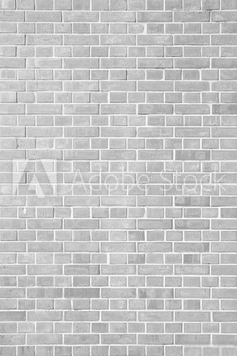 Fototapeta Old white brick wall background and texture..