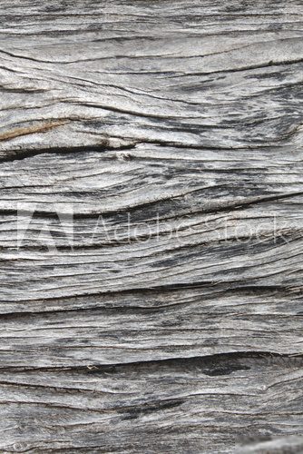 Fototapeta Old wood texture