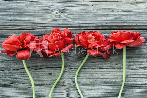 Fototapeta Oldwooden  boards with beautiful red flowers