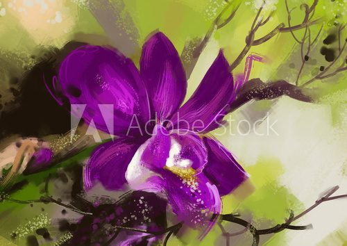Fototapeta orchid flowers - Stock Image