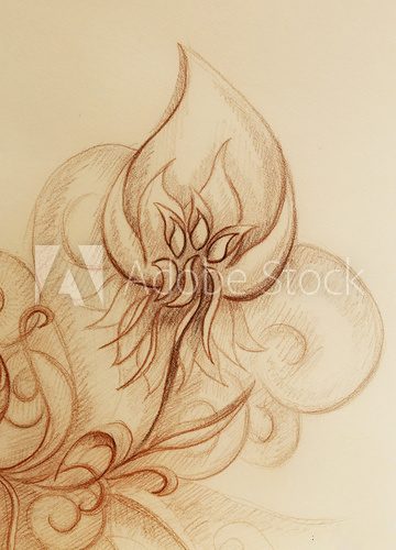 Fototapeta ornamental filigran drawing on paper with spirals, flower petals and flame structure pattern.