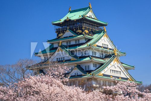 Fototapeta Osaka castle, Osaka, Japan