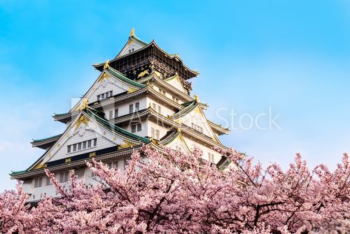Fototapeta Osaka castle with cherry blossom. Japan, April,spring.