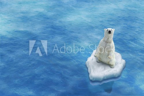Fototapeta Ours Blanc / Fonte des glaces