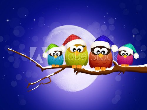 Fototapeta owls on branches at Christmas