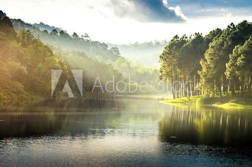 Fototapeta pang ung , reflection of pine tree in a lake