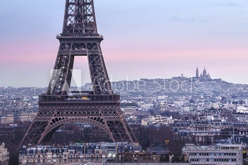 Fototapeta Panorama de la ville de Paris avec la Tour Eiffel