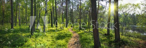 Fototapeta Panoramiczny obraz nad brzegiem jeziora