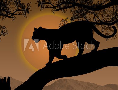 Fototapeta Panther on a tree