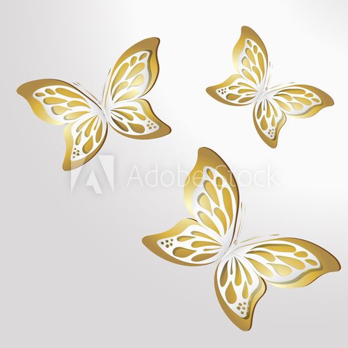 Fototapeta Paper Lace butterfly on gold background