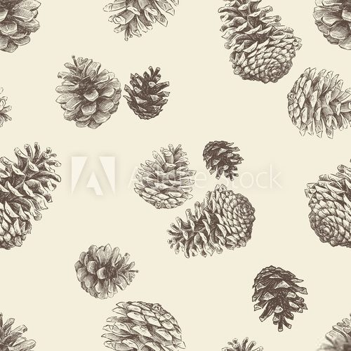 Fototapeta pattern of the pinecones