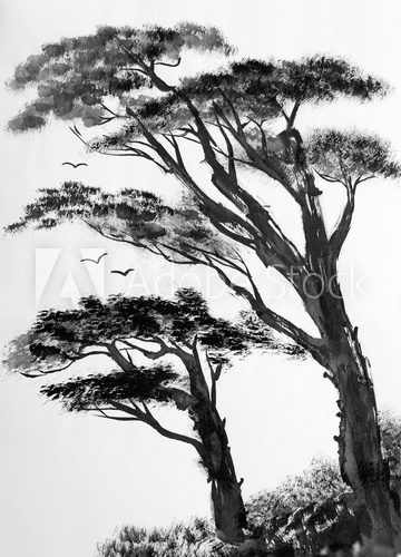 Fototapeta pine trees on a light background