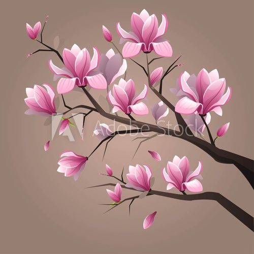 Fototapeta Pink magnolia flowers