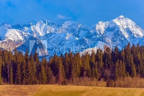 Fototapeta Polish Tatra Mountains Scenery
