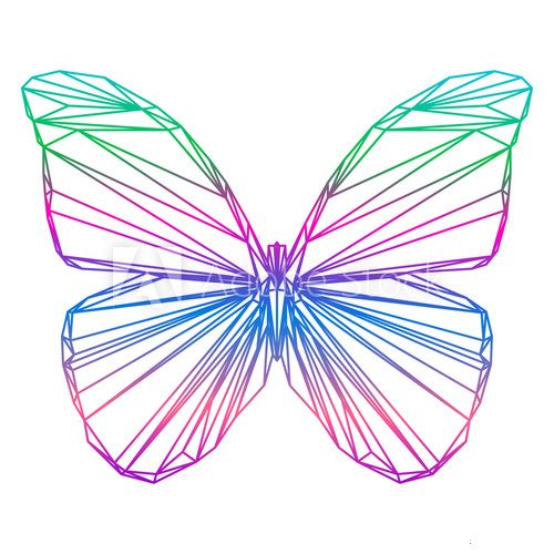 Fototapeta polygonal abstract vector gradient colored butterfly silhouette drawn in one continuous line